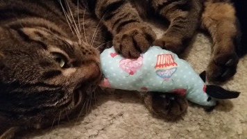 Gizmo LOVES his cupcake mouse!
